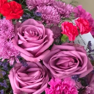 Meet your Posher, Rachelle